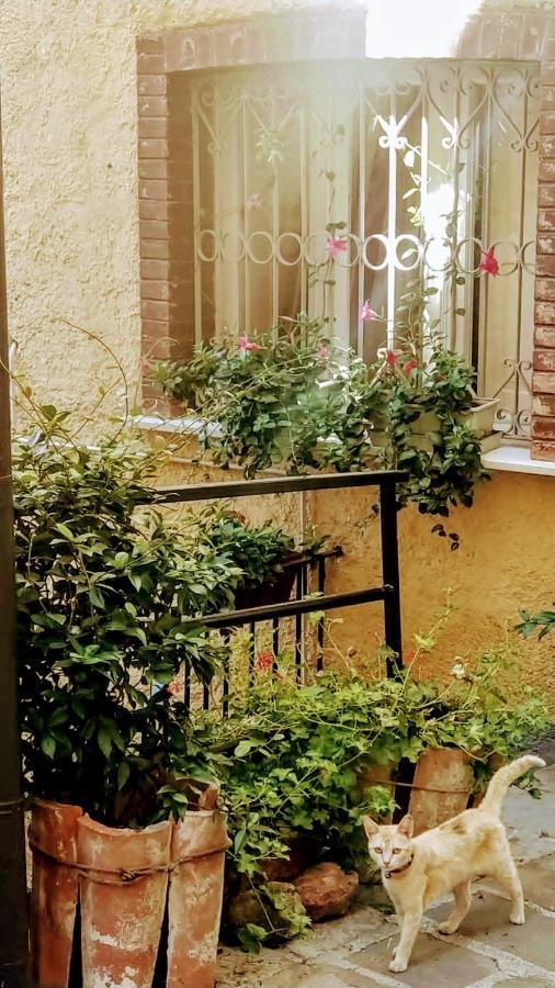 Casa Gaia Daire Trivigno Dış mekan fotoğraf
